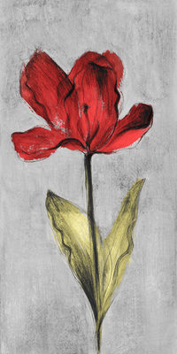 Image Not Available